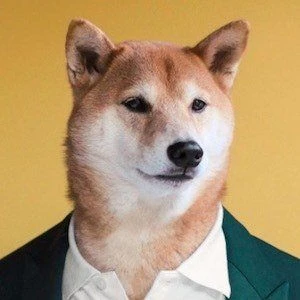 Menswear Dog Biography