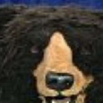 Michael Gordon - Age, Bio, Birthdate, Family, Networth & More