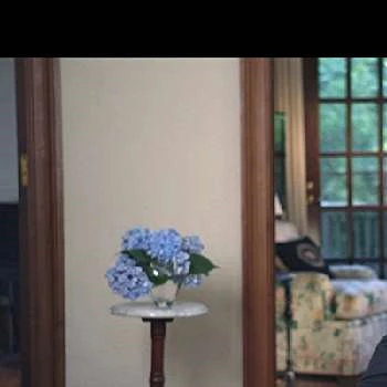 Michael Greenberger - Age, Bio, Birthdate, Family, Networth & More