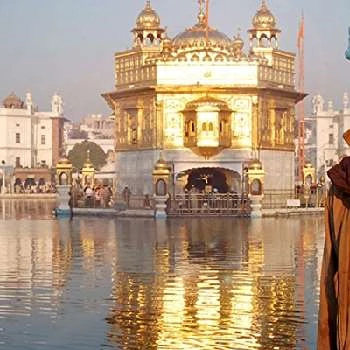 Michael Wood - Wiki, Bio, Networth, Birthdate, Family & More