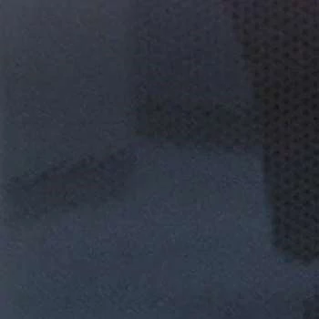 Midori Hagio - Parents, Networth, Bio, Birthdate, Family Wiki & More