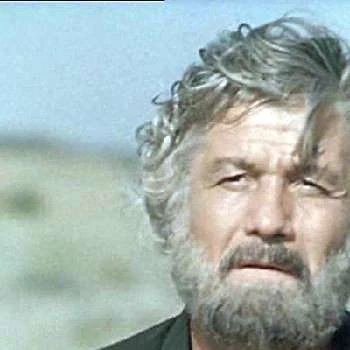 Mihai Volontir Biography