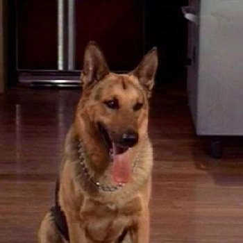 Mike - Age, Bio, Birthdate, Family, Networth & More