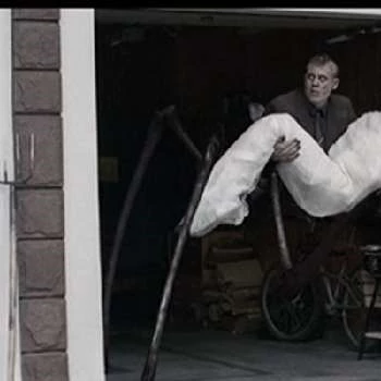 Mike Straub - Age, WIki, Birthday, Family, Networth & More