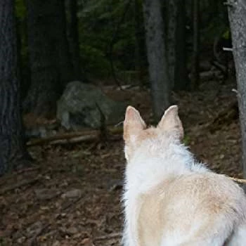 Mikey - Age, Bio, Birthdate, Family, Networth & More