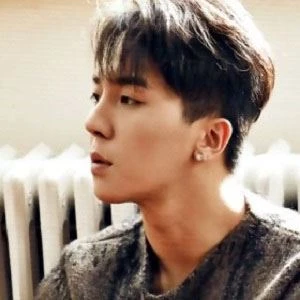 Song Min-ho - Birthplace, Bio, Wiki, Birthday, Family, Networth & More
