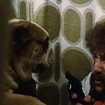 Miroslav Streda - Age, Wiki, Birthdate, Bio, Networth, Family & More