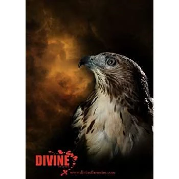 Mohave - Age, Bio, Birthdate, Family, Networth & More