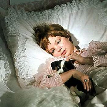 Monika Hálová - Age, Height, Birthdate, Family, Wiki & More