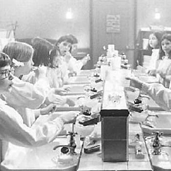 Morgane Farcat - Age, Bio, Birthdate, Family, Networth & More