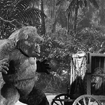 Mr. Joseph Young - Age, Bio, Birthdate, Family, Networth & More