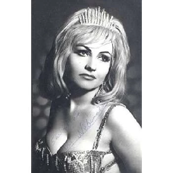 Muzaffer Nebioglu - Age, Bio, Birthdate, Family, Networth & More