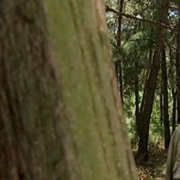 Mykhailo Illienko - Height, Bio, Wiki, Family, Birthplace, Networth & More