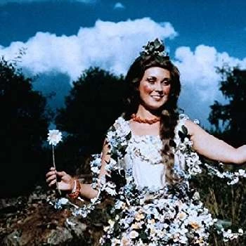 Nada Konvalinková - Age, Wiki, Birthdate, Bio, Networth, Family & More