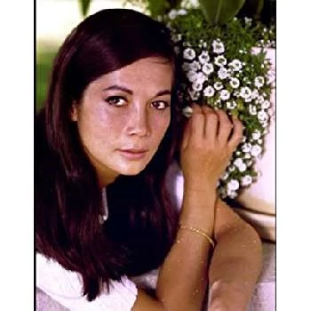 Nancy Kwan - Date Of Birth, Bio, Birthdate, Parents, Networth & More