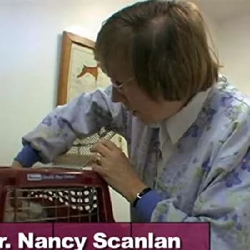 Nancy Scanlan - Age, Bio, Birthdate, Family, Networth & More