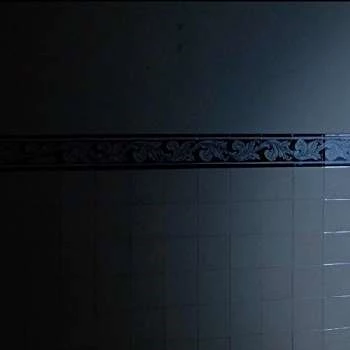 Nathalie Pires - Age, Bio, Birthdate, Family, Networth & More