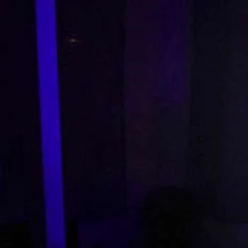 Nathan Stayton - Age, Bio, Birthdate, Family, Networth & More