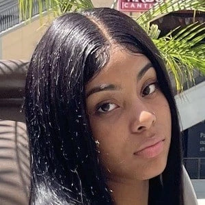 Leila Navarrete - Birthday, Bio, Wiki, Family, Networth & More