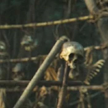 Neil Panlasigui - Age, Bio, Birthdate, Family, Networth & More