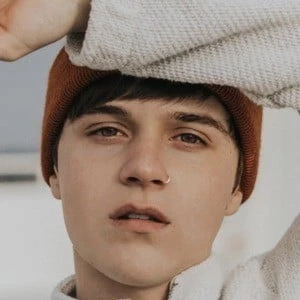 Jack Newsome - Income, Birthday, Family, Bio, Networth & More