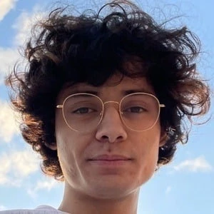 nickisnotgreen - Networth, Bio,Birthdate, Family, Wiki & More