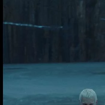 Niels Brandt - Age, Bio, Birthdate, Family, Networth & More