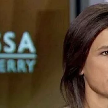 Nina Burleigh - Age, Bio, Birthdate, Family, Networth & More