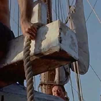 Norman Earl Thomson - Income, Birthday, Family, Bio, Networth & More