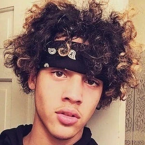 Nova - Biography, Birthday, Wiki, Family, Networth & More