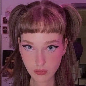 Erin Novakowski - Adderess, Bio, Birthdate, Family, Wiki & More