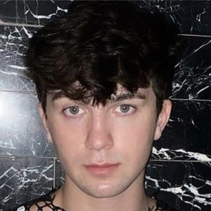 Mickey Nucci - Date Of Birth, Bio, Birthdate, Parents, Networth & More