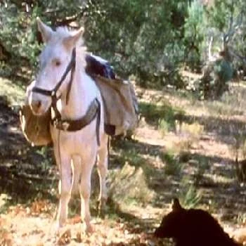 Number Six - Age, Bio, Birthdate, Family, Networth & More