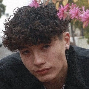 Chase O’Neill - Wiki, Bio, Birthdate, Networth, Family & More