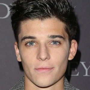 Sean O'Donnell Biography