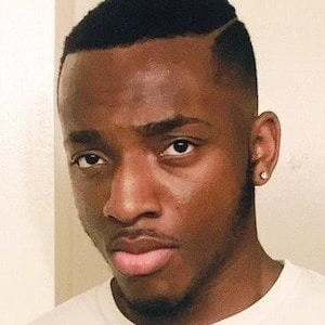 Michael Ofili Biography