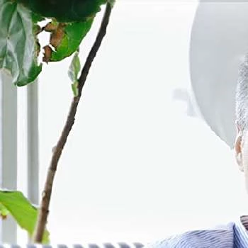 Olivier Niquet - Age, Bio, Birthdate, Family, Networth & More