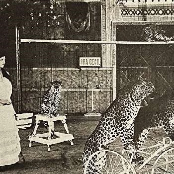 Ora Cecil - Age, Bio, Birthdate, Family, Networth & More