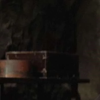 Otome Tsukimiya - Wiki, Bio, Networth, Birthdate, Family & More