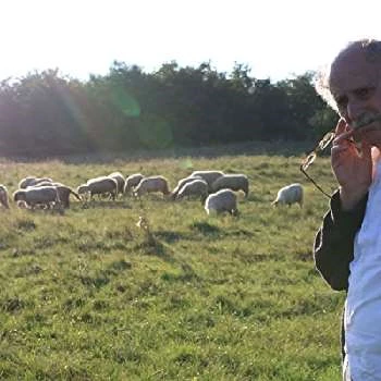 Ovidiu Schumacher - Age, Bio, Birthdate, Family, Networth & More