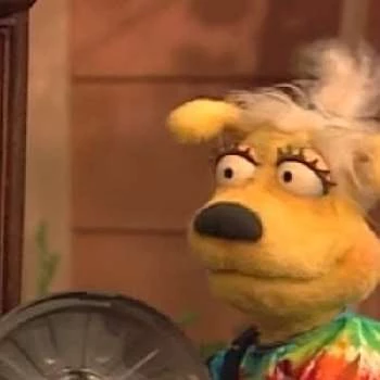 Pam Arciero - Age, Bio, Career, Family, Wiki, Networth & More