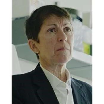 Pamela Hofsass - Age, Bio, Birthdate, Family, Networth & More