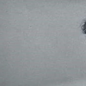 Pascal Bongard - Age, Bio, Birthdate, Family, Networth & More