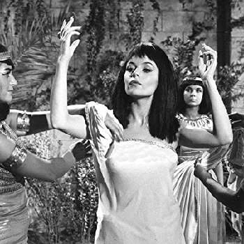 Pascale Petit - Networth, Bio, Wiki, Family, Birthday, Networth & More