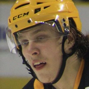 David Pastrnak Biography