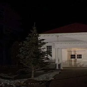 Paula Donovan - Age, Bio, Birthdate, Family, Networth & More