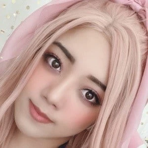 Pankayz - Income, Birthday, Family, Bio, Networth & More