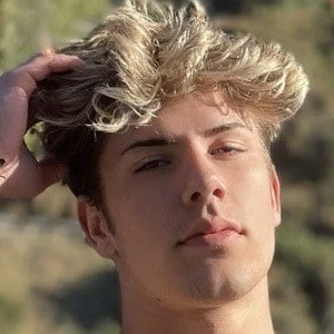 Ashton Pavlow - Adderess, Bio, Birthdate, Family, Wiki & More