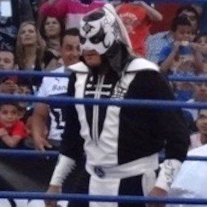 Pentagón Jr. Biography