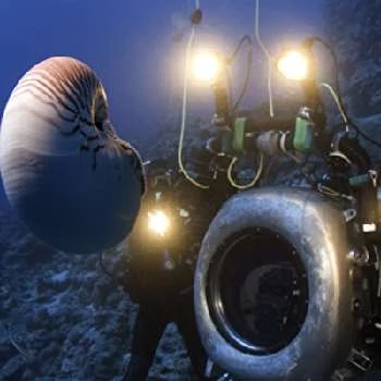 Peter Kragh - Age, Bio, Birthdate, Family, Networth & More